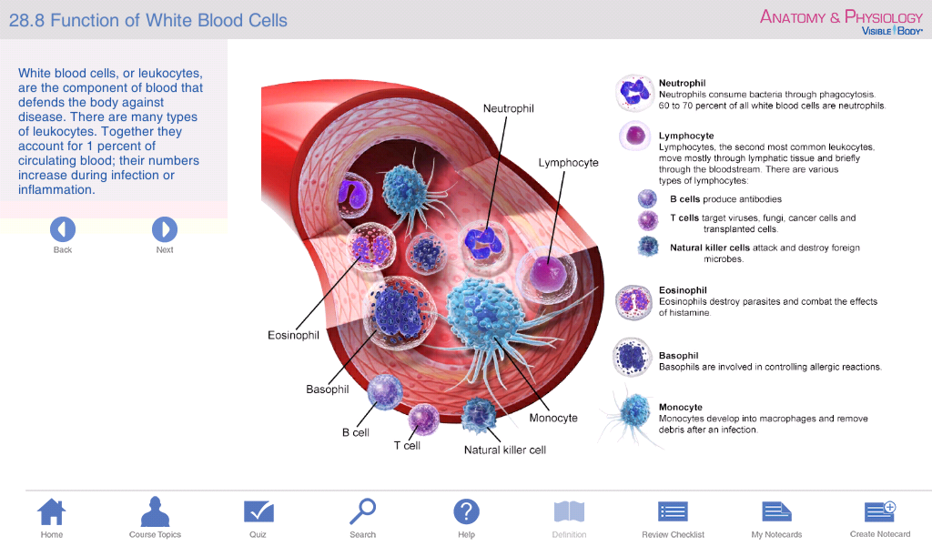 Anatomy & Physiology截图9