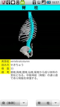 3D解剖学Lite截图