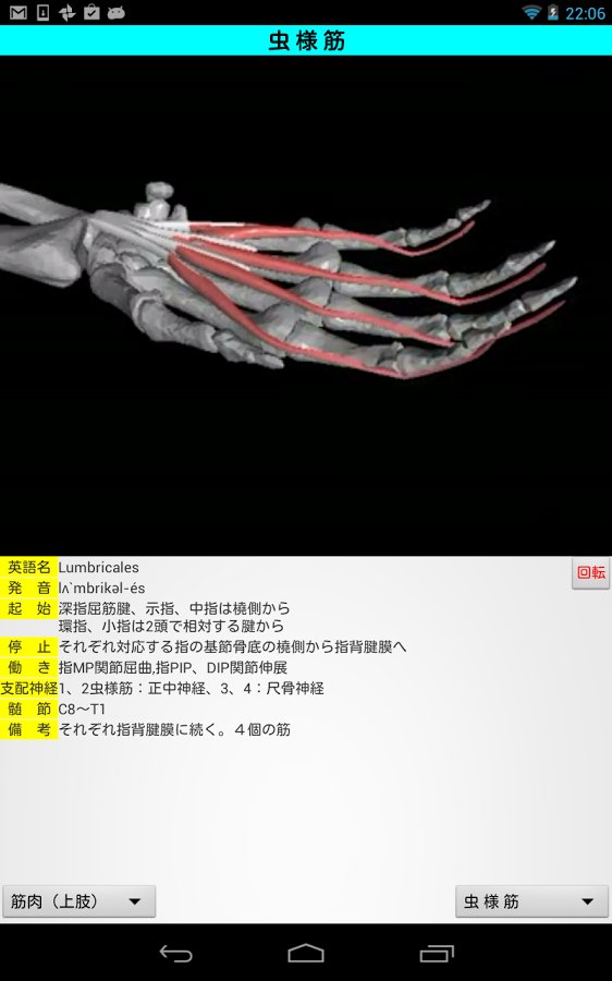 3D解剖学Lite截图3