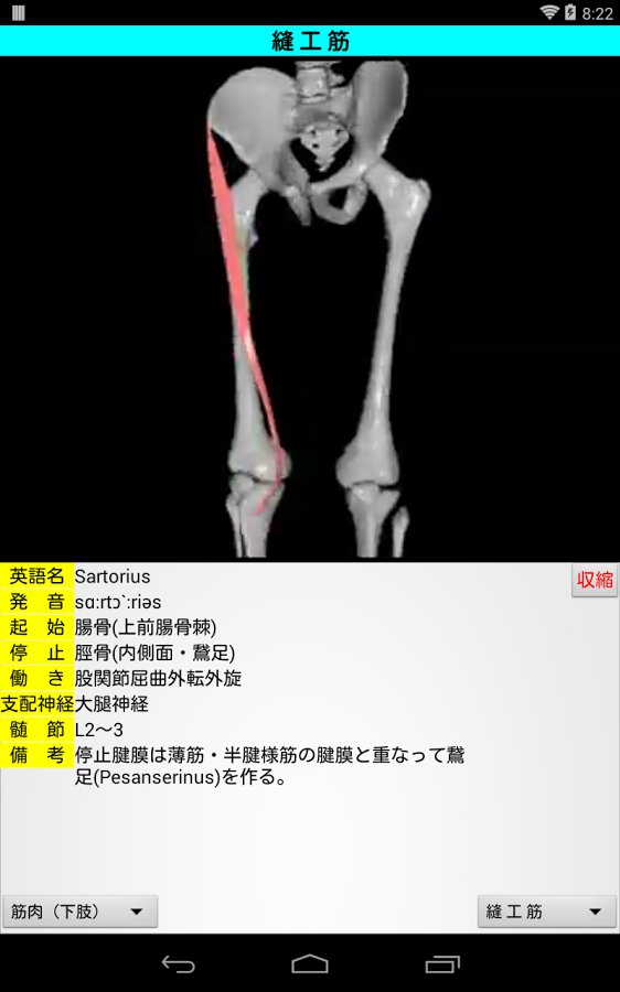 3D解剖学Lite截图11