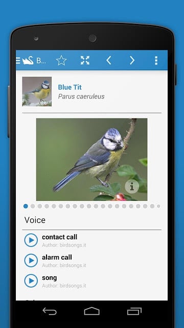 Birds PRO Trial截图10