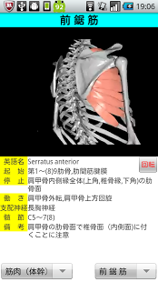3D解剖学Lite截图2