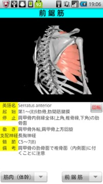 3D解剖学Lite截图