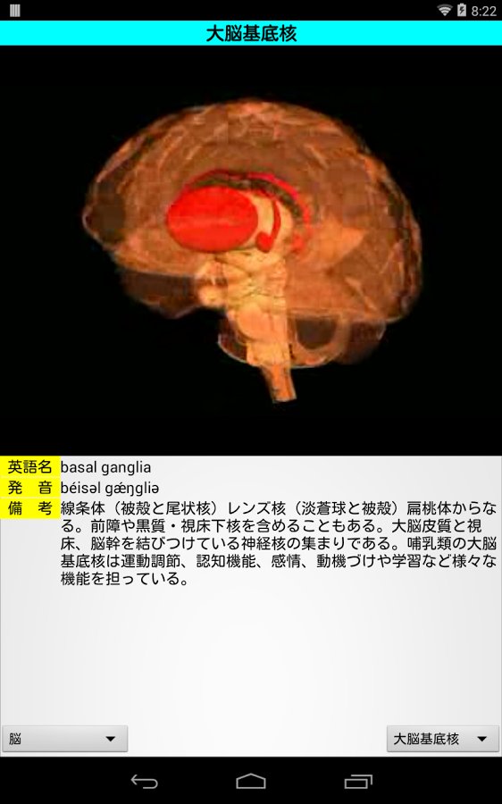 3D解剖学Lite截图9