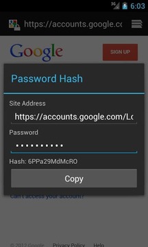 Password Hash截图