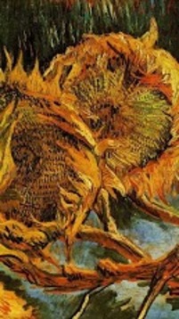 Van Gogh Wallpapers截图