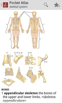 Pocket Atlas of Anatomy TR截图