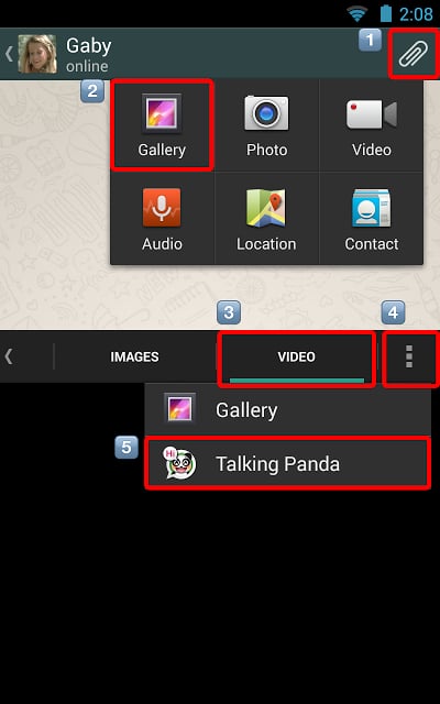 Talking Panda截图7