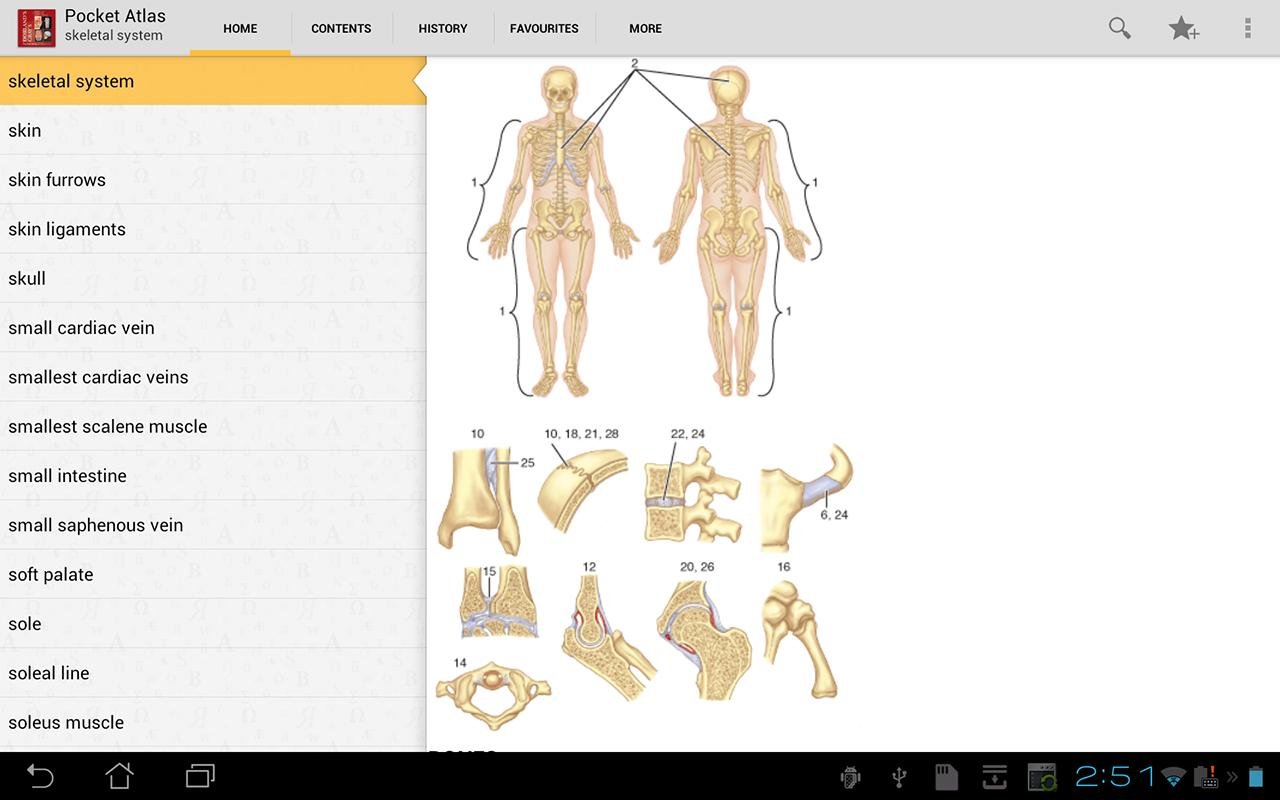 Pocket Atlas of Anatomy TR截图1