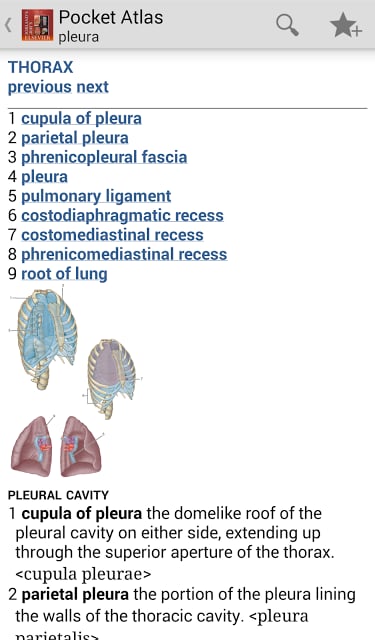 Pocket Atlas of Anatomy TR截图7