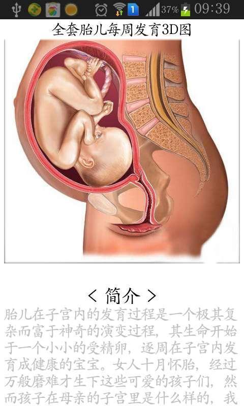 全套胎儿每周发育3D图截图1