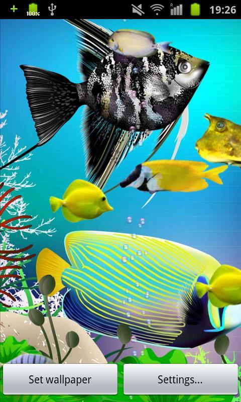 Under Water Fish截图1