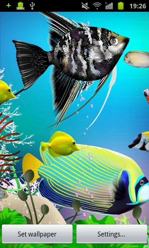 Under Water Fish截图4