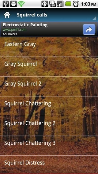 Squirrel Calls截图4