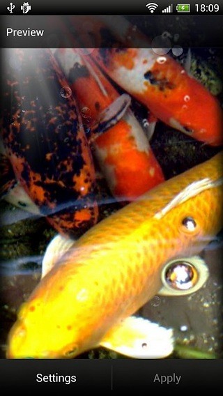 Koi Fish Live Wallpaper Free截图6