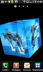 Dolphin截图1