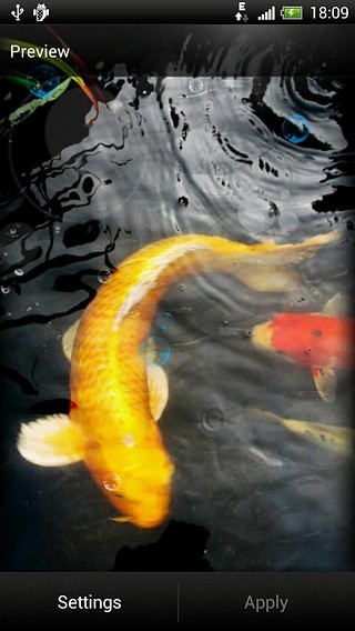 Koi Fish Live Wallpaper Free截图3