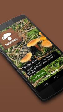 Mushrooms FREE截图