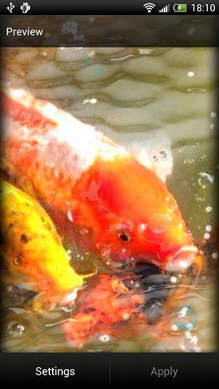 Koi Fish Live Wallpaper Free截图2