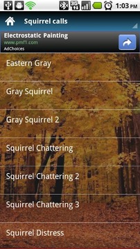 Squirrel Calls截图