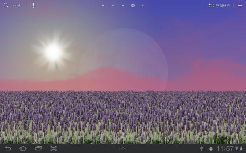 薰衣草壁纸 Lavender Field FREE截图6