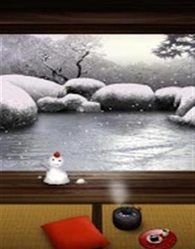 Zen Garden -Winter截图