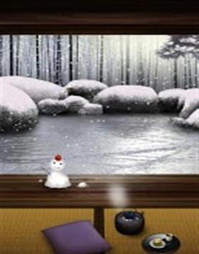 Zen Garden -Winter截图