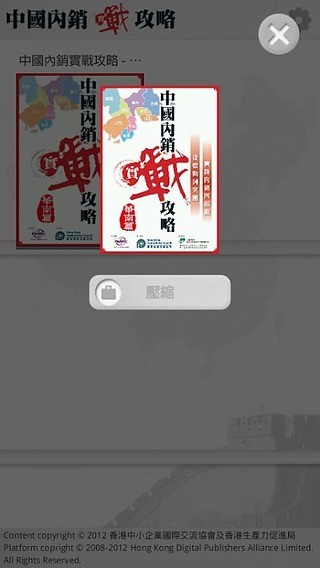 中国内销实战攻略截图2