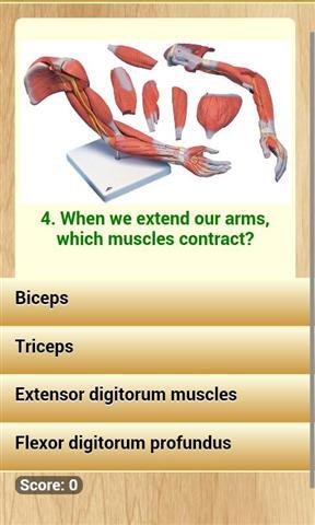人体解剖学知识截图3