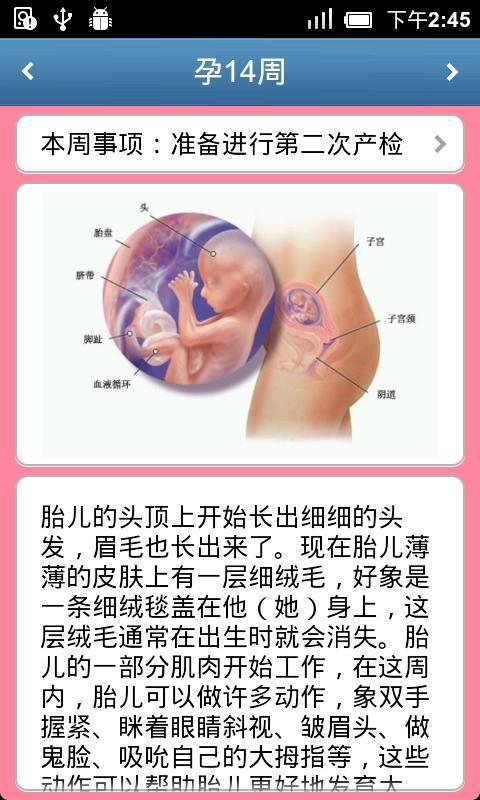 快乐孕期宝宝周历截图2