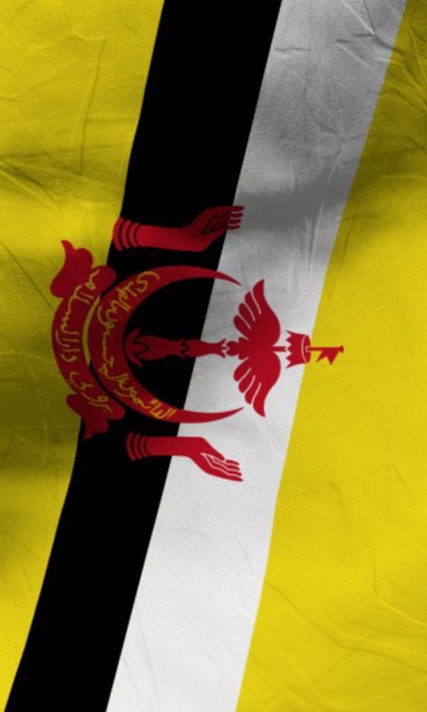 汶萊國旗 lwp 自由截图4