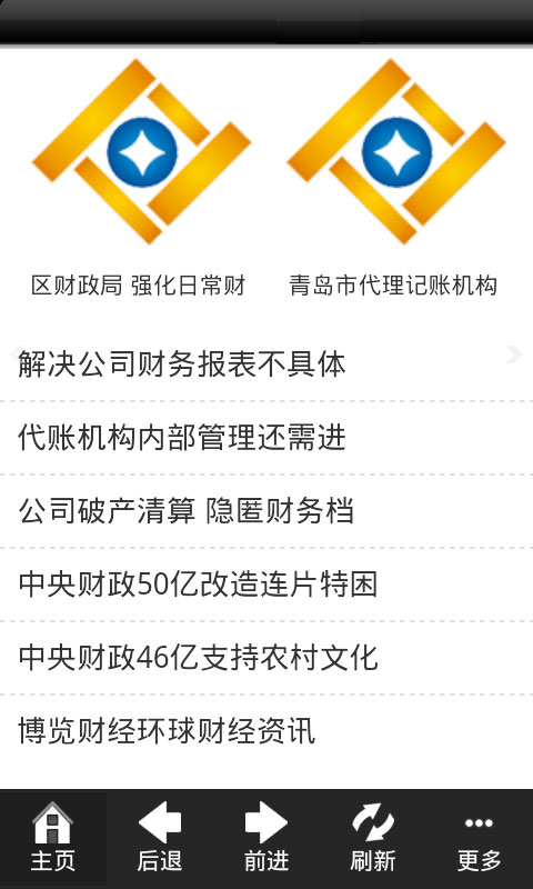 山东代理记帐截图3