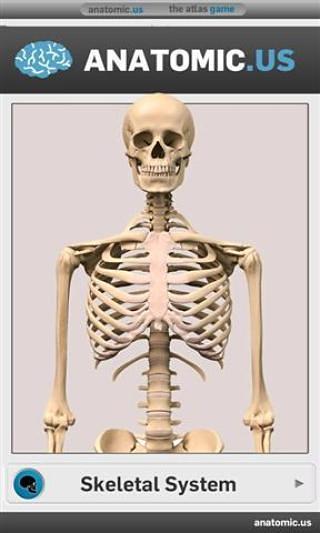 骨骼解剖游戏截图3