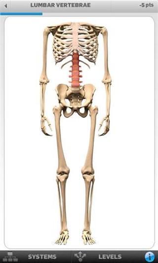 骨骼解剖游戏截图2