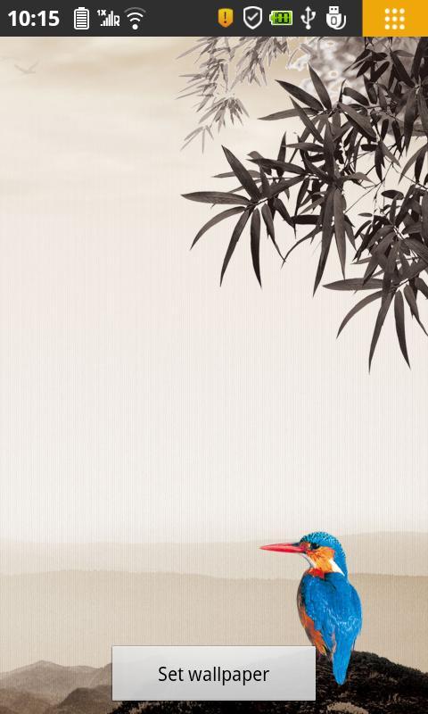 竹海鹦鹉动态壁纸截图1
