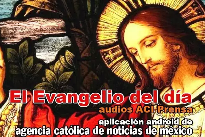 El Evangelio del día en audio截图1