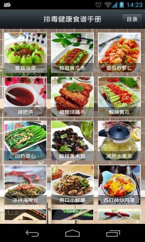 排毒健康食谱手册截图1