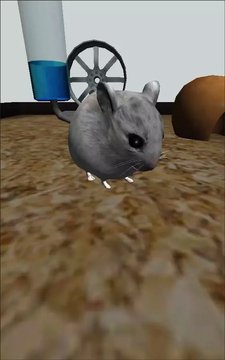 仓鼠3D截图