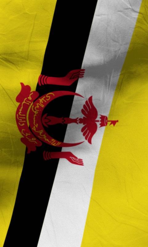 汶萊國旗 lwp 自由截图5