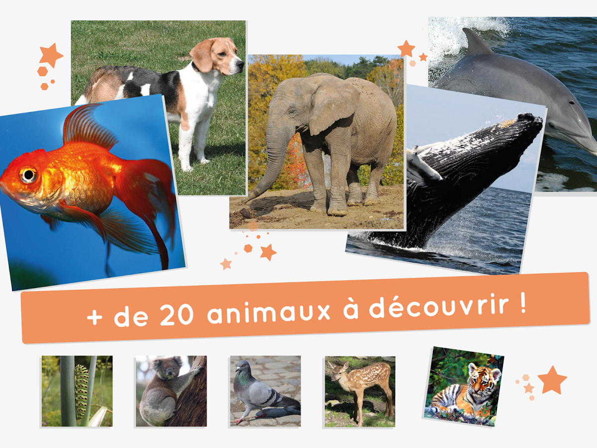 Puzzle - Animaux -Jeu éducatif截图3