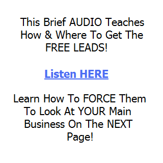 FREE LEADS Home Business & MLM截图2