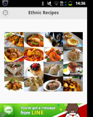 Ethnic Recipes截图1