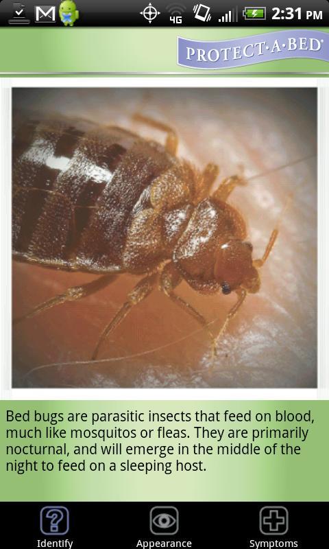 Bed Bugs 101截图2