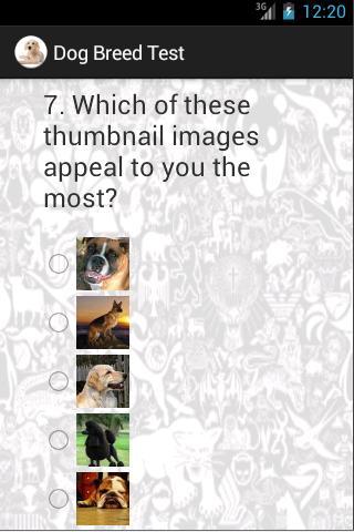 Which Dog Breed fits your Home截图2