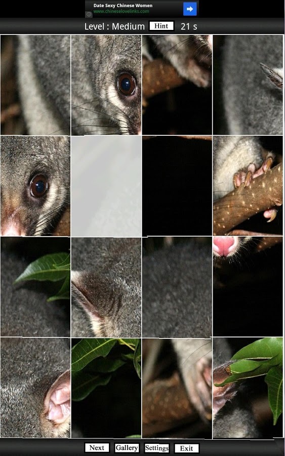 Aussie Animal Puzzles截图2