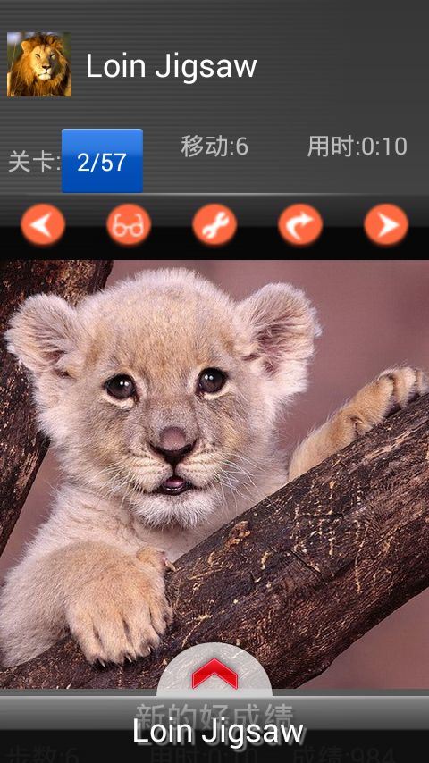 Animals puzzle – Lion Jigsaw截图2