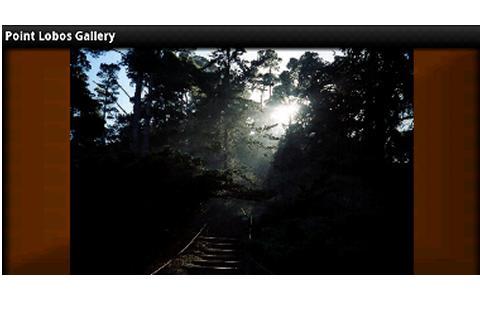 Point Lobos Gallery截图3