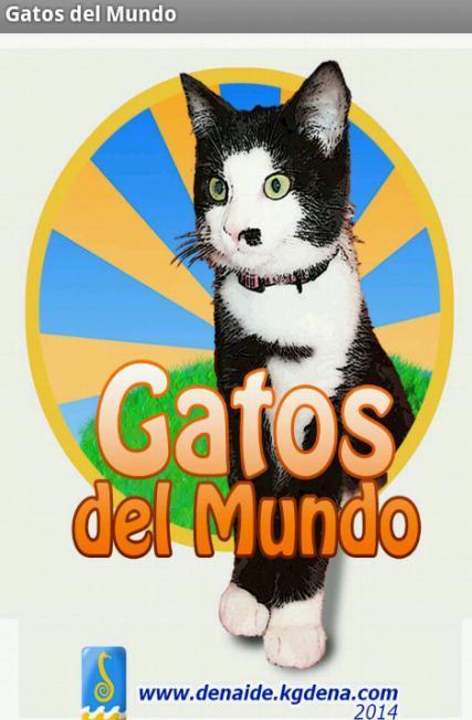 Gatos del mundo截图1