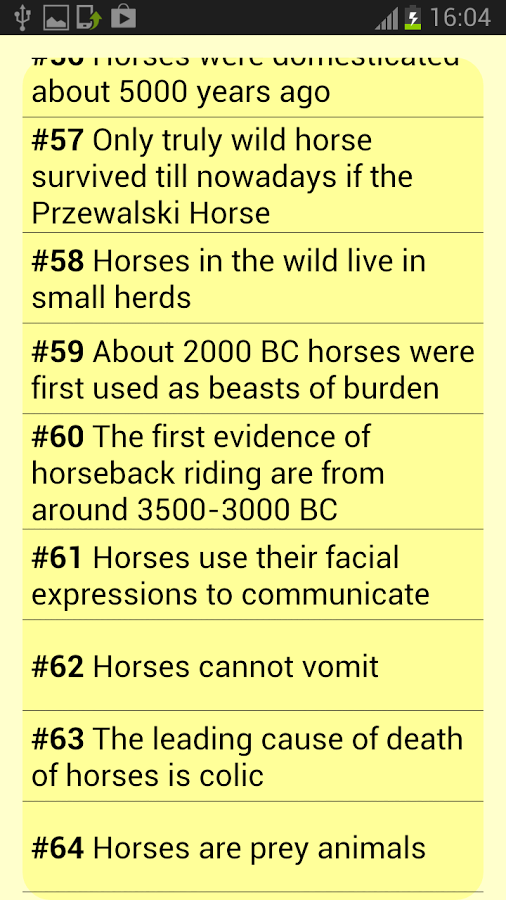 Amazing horse facts截图2