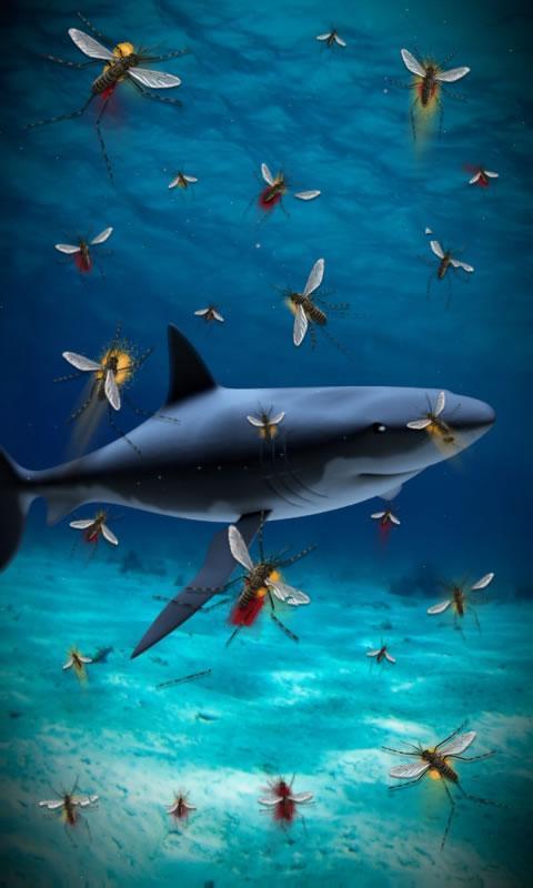 Shark attack lwp Free截图2